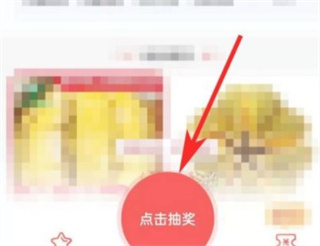 锦鲤社