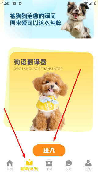电子宠物