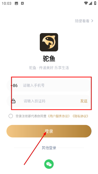 驼鱼