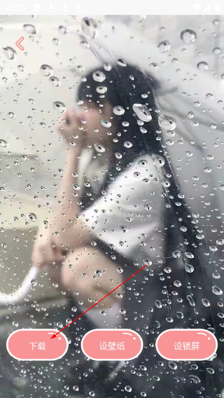 趣玩桌面壁纸