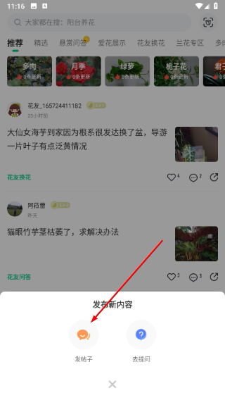养花大全