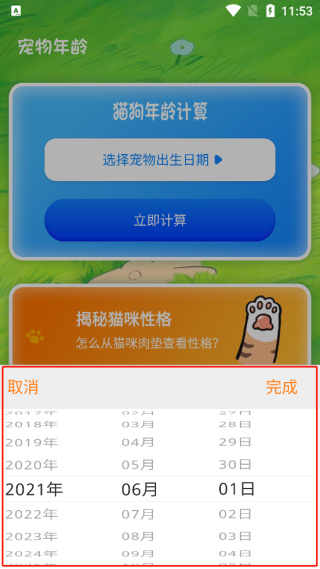 宠物猫咪翻译器