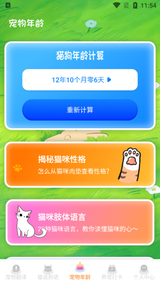 宠物猫咪翻译器