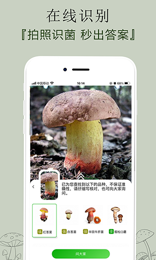 菌窝子截图1