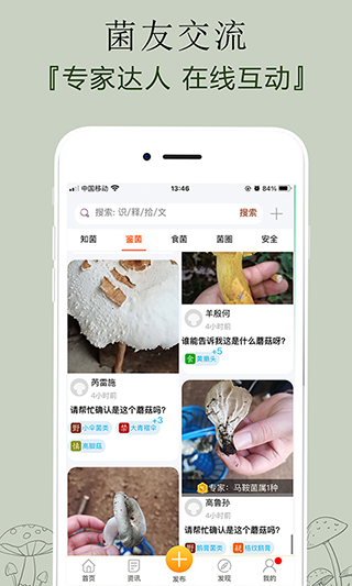 菌窝子截图2