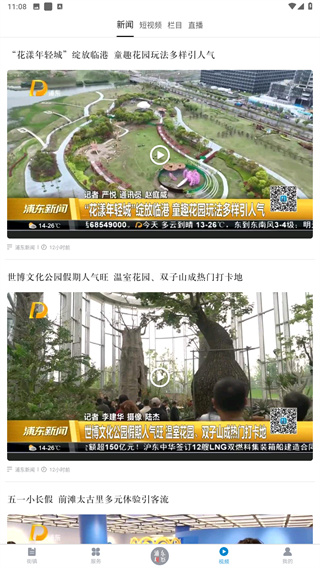浦东观察