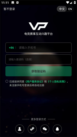 VP电竞