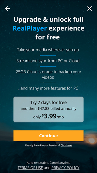RealPlayer