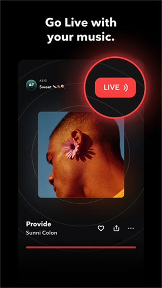 Tidal截图4