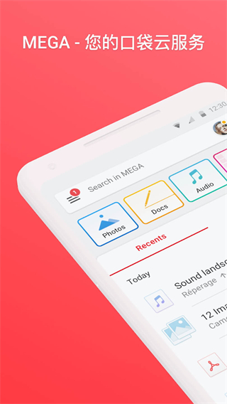 Mega截图1