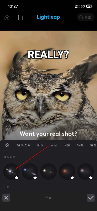 lightleap会员免费版下载