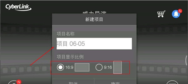Power Director
