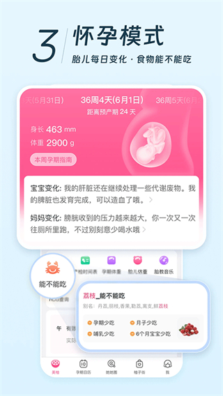 美柚截图1