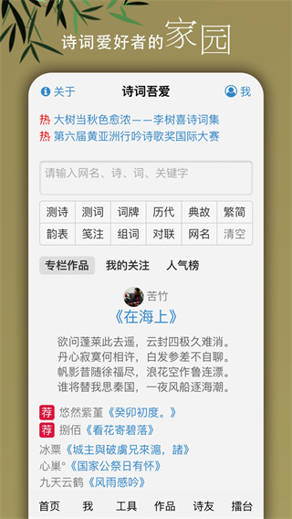 诗词吾爱检测工具截图5