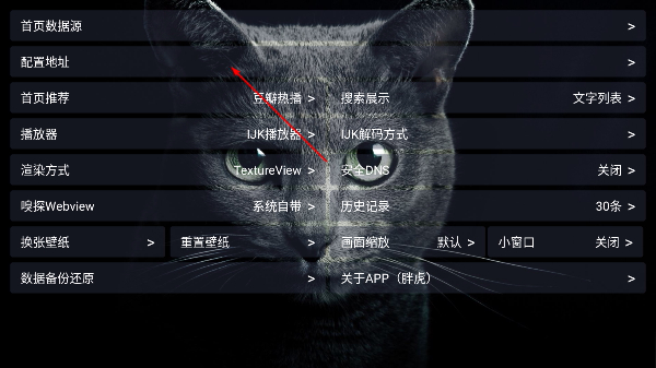 胖虎TV