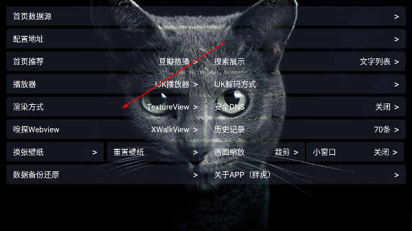 胖虎TV官方正版下载