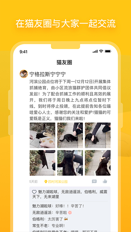 哈啰街猫截图2