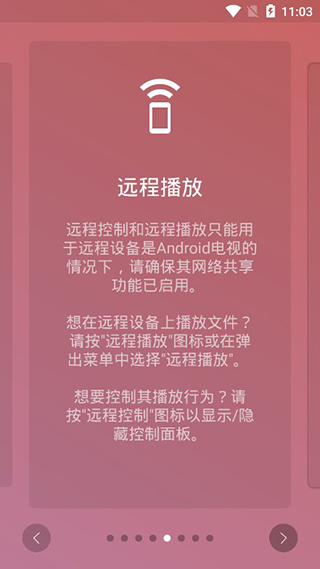 飞鱼播放器截图1