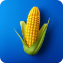 Farm Land