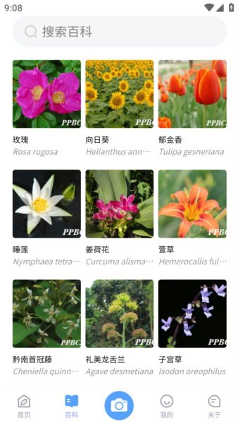 植物智截图3