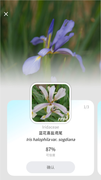 植物智截图1
