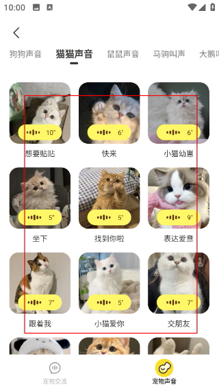 万能语言翻译器免费版