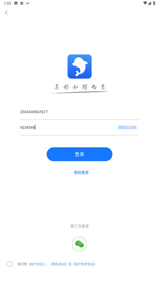 海豚心理