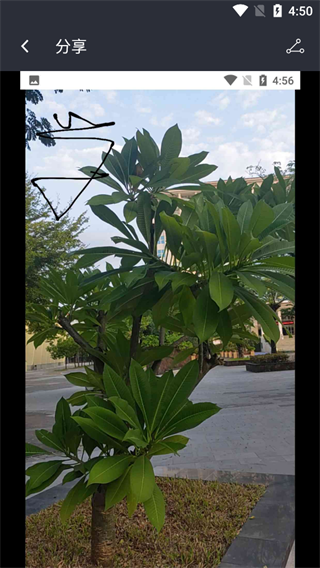 照片水印