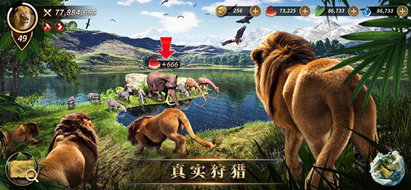 Beast Lord安装器截图4