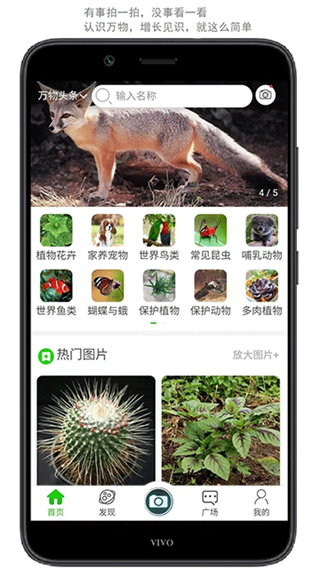 万物志截图1