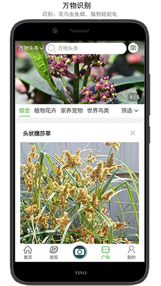 万物志截图2