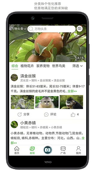 万物志截图4