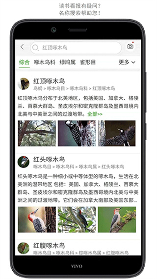 万物志截图3
