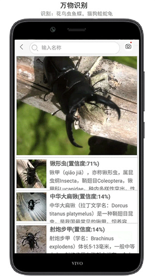 万物志截图5