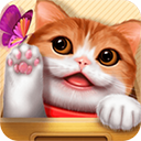 花样猫咪无限金鱼版