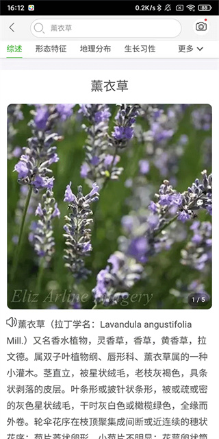 万物志