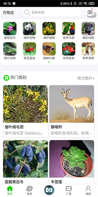 万物志