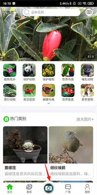 万物志