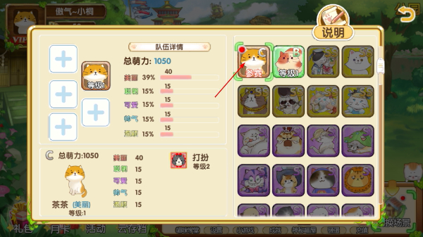 花样猫咪