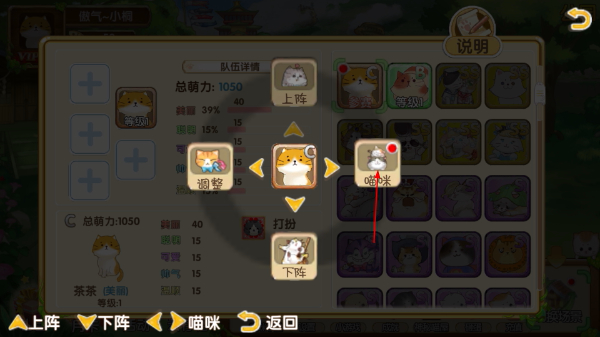 花样猫咪