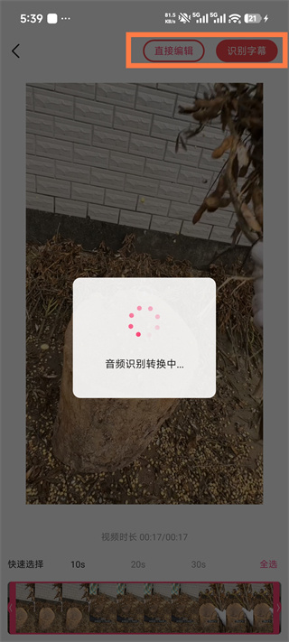 字拍
