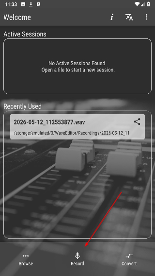 WaveEditor