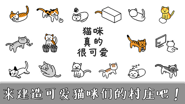 猫咪真的很可爱截图2