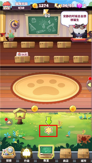 猫猫学园