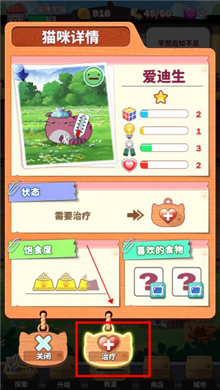 猫猫学园