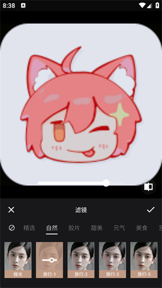 照片美易