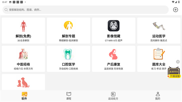 3DBody解剖