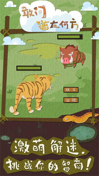 敢问猫在何方截图3