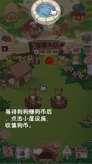 狗狗派对