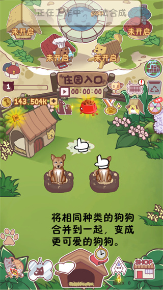 狗狗派对